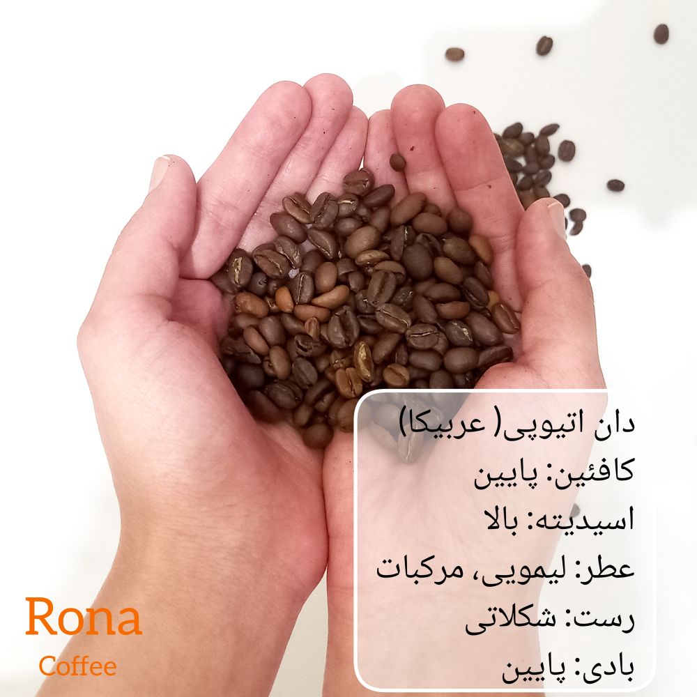 دان قهوه اتیوپی عمده