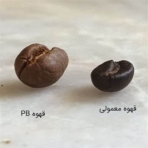 تفاوت ظاهر پی بی و سایر قهوه ها